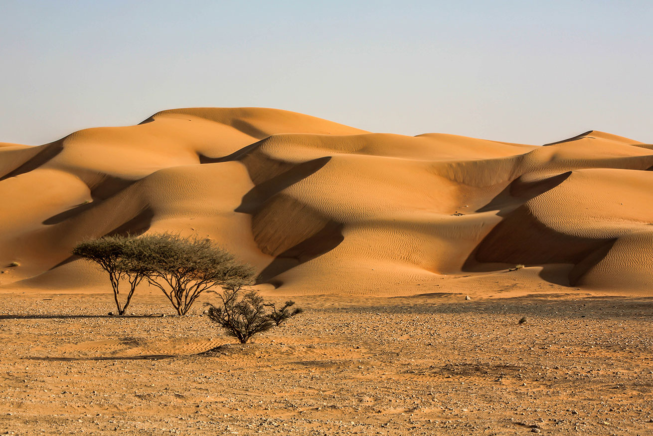 Desert of Dubai - UAE